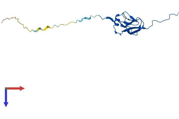 MRPL27 Protein (AA 1-148) (His tag)