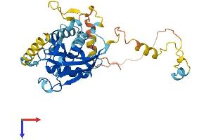 ATG3 Protein (AA 1-314) (His tag)