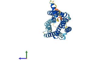 Protein Structure (PS) image for G Protein-Coupled Receptor 31 (GPR31) (AA 1-319) protein (His tag) (ABIN7548084)