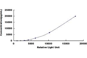 ELISA image for Brain-Derived Neurotrophic Factor (BDNF) CLIA Kit (ABIN491736)