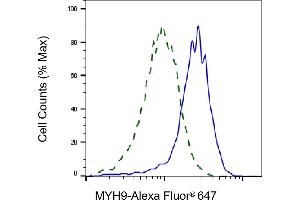 Flow cytometric analysis of MYH9 expression in HepG2 cells using MYH9 antibody (ABIN7799519), 1:1,000).