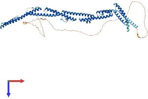 PRC1 Protein (AA 1-620) (His tag)