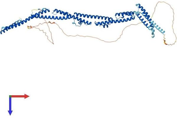 PRC1 Protein (AA 1-620) (His tag)