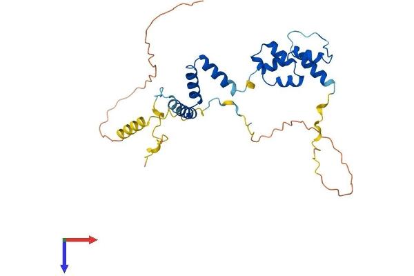 FBXO16 Protein (AA 1-292) (His tag)