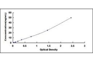 CYP7A1 ELISA Kit