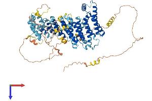 NOC2L Protein (AA 1-749) (His tag)