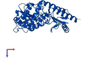 PSAT1 Protein (AA 1-370) (His tag)