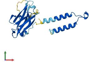 AlphaFold protein structure predicition of Human Recombinant HIKESHI Protein, UniprotID Q53FT3
