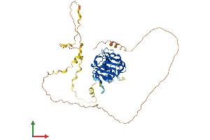 Protein Structure (PS) image for Chromosome 6 Open Reading Frame 134 (C6orf134) (AA 1-421) protein (His tag) (ABIN7559531)