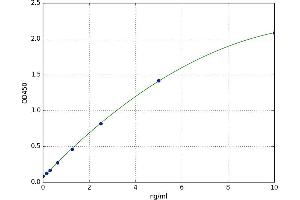 A typical standard curve