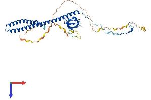 ABI3 Protein (AA 1-367) (His tag)