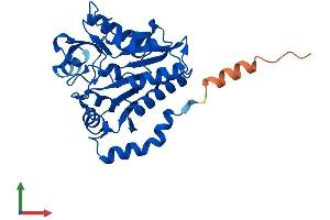 Protein Structure (PS) image for Glucosamine-6-Phosphate Deaminase 1 (GNPDA1) (AA 1-289) protein (His tag) (ABIN7548143)