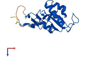PIN1 Protein (AA 1-165) (His tag)