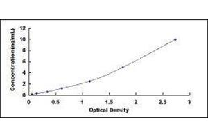CD24 Molecule (CD24) ELISA Kit