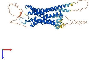 NTSR1 Protein (AA 1-424) (His tag)