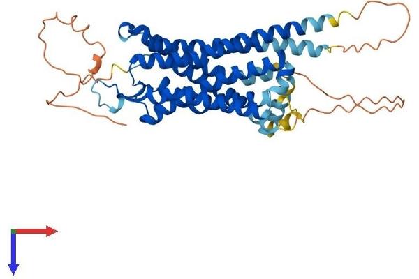 NTSR1 Protein (AA 1-424) (His tag)