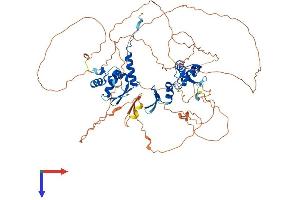 ZBTB33 Protein (AA 1-672) (His tag)