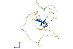 Protein Structure (PS) image for Homeobox A2 (HOXA2) (AA 1-376) protein (His tag) (ABIN7548485)