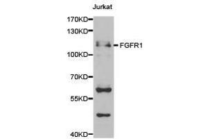 Western Blotting (WB) image for anti-Fibroblast Growth Factor Receptor 1 (FGFR1) antibody (ABIN1872687) (FGFR1 Antikörper)