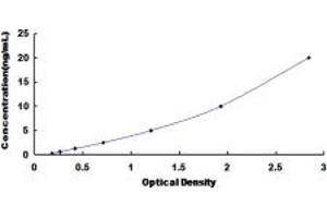 Typical standard curve (Adenylate Kinase 3 ELISA Kit)