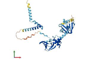 Protein Structure (PS) image for Protein Kinase, CAMP-Dependent, Regulatory, Type I, alpha (Tissue Specific Extinguisher 1) (PRKAR1A) (AA 1-381) protein (His tag) (ABIN7561275)
