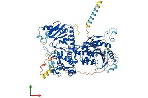 Protein Structure (PS) image for Exostosin 1 (EXT1) (AA 1-746) protein (His tag) (ABIN7553888)