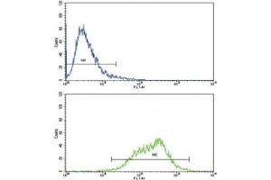 Flow Cytometry (FACS) image for anti-Leukemia Inhibitory Factor (LIF) (AA 72-101) antibody (ABIN3031614)