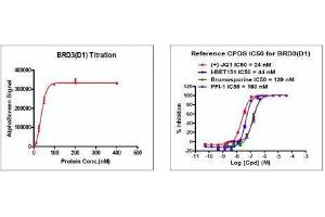 Screening Assay (ScA) image for Bromodomain Containing 3 (BRD3) (AA 24-144) protein (His tag,DYKDDDDK Tag) (ABIN2669644)