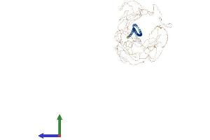 AlphaFold protein structure predicition of Mouse Recombinant Mtus2 Protein, UniprotID Q3UHD3 (CAZIP Protein (AA 1-1353) (His tag))