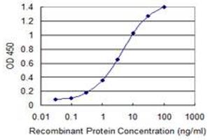 Detection limit for recombinant GST tagged PCDHGB2 is 0. (PCDHGB2 Antikörper  (AA 94-199))