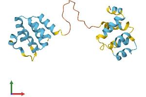Protein Structure (PS) image for PYD and CARD Domain Containing (PYCARD) (AA 1-195) protein (His tag) (ABIN7552364)