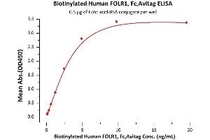 Immobilized Folic acid-BSA conjugate at 5 μg/mL (100 μL/well) can bind Biotinylated Human FOLR1, Fc,Avitag (ABIN6731323,ABIN6809954) with a linear range of 0. (FOLR1 Protein (AA 25-233) (Fc Tag,AVI tag,Biotin))
