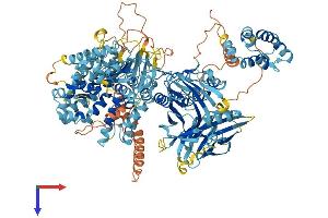 NLR Family, Pyrin Domain Containing 1B (NLRP1B) (AA 1-1177) protein (His tag)