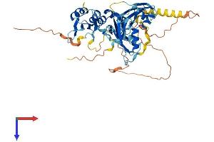 RBM45 Protein (AA 1-476) (His tag)