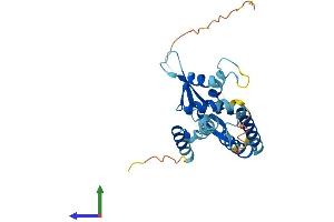 Protein Structure (PS) image for Necdin-Like 2 (NDNL2) (AA 1-279) protein (His tag) (ABIN7560475)