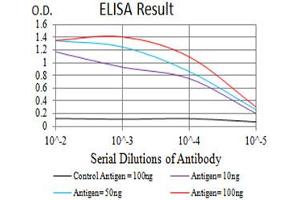 ELISA image for anti-Integrin beta 4 (ITGB4) (AA 29-206) antibody (ABIN5611133)