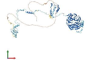 AlphaFold protein structure predicition of Human Recombinant BOP1 Protein, UniprotID Q14137