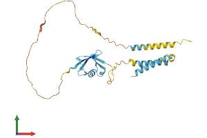 Protein Structure (PS) image for Transmembrane and Ubiquitin-Like Domain Containing 1 (TMUB1) (AA 1-245) protein (His tag) (ABIN7561709)
