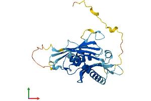 Protein Structure (PS) image for Exosome Component 6 (EXOSC6) (AA 1-272) protein (His tag) (ABIN7553849)