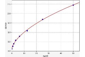 Defensin, beta 1 (DEFB1) ELISA Kit