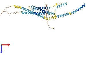 Syntaxin 5 Protein (STX5) (AA 1-355) (His tag)