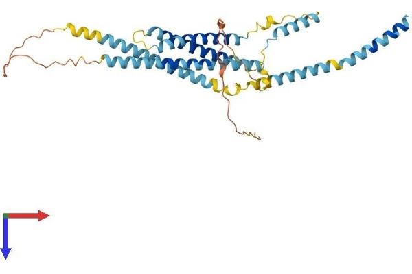 Syntaxin 5 Protein (STX5) (AA 1-355) (His tag)