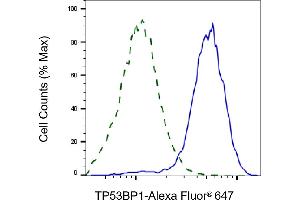 Flow cytometric analysis of TP53BP1 expression in HAP-1 cells using TP53BP1 antibody (ABIN7800690), 1:2,000). (TP53BP1 Antikörper)