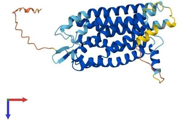CasLTR2 Protein (AA 1-346) (His tag)