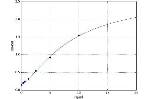 A typical standard curve
