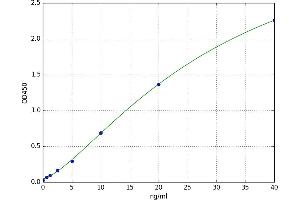 alpha-1-B Glycoprotein (A1BG) ELISA Kit