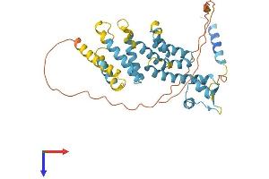 PSMD8 Protein (AA 1-353) (His tag)