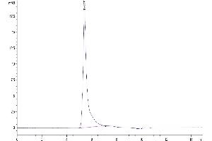 The purity of Human ITGAV&ITGB8 is greater than 95 % as determined by SEC-HPLC. (Integrin alpha V beta 8 (ITGAV & ITGB8) Heterodimer (AA 31-992) protein (His-Avi Tag))