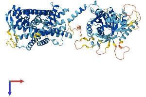 SLC12A9 Protein (AA 1-914) (His tag)