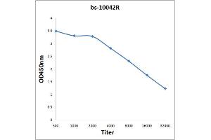 Antigen: 2 µg/100 µL  Primary: Antiserum, 1:500, 1:1000, 1:2000, 1:4000, 1:8000, 1:16000, 1:32000;  Secondary: HRP conjugated Rabbit Anti-Goat IgG at 1: 5000;  TMB staining Read the data in Microplate Reader by 450nm. (GluR1, GluR2 Antikörper  (AA 141-240))
